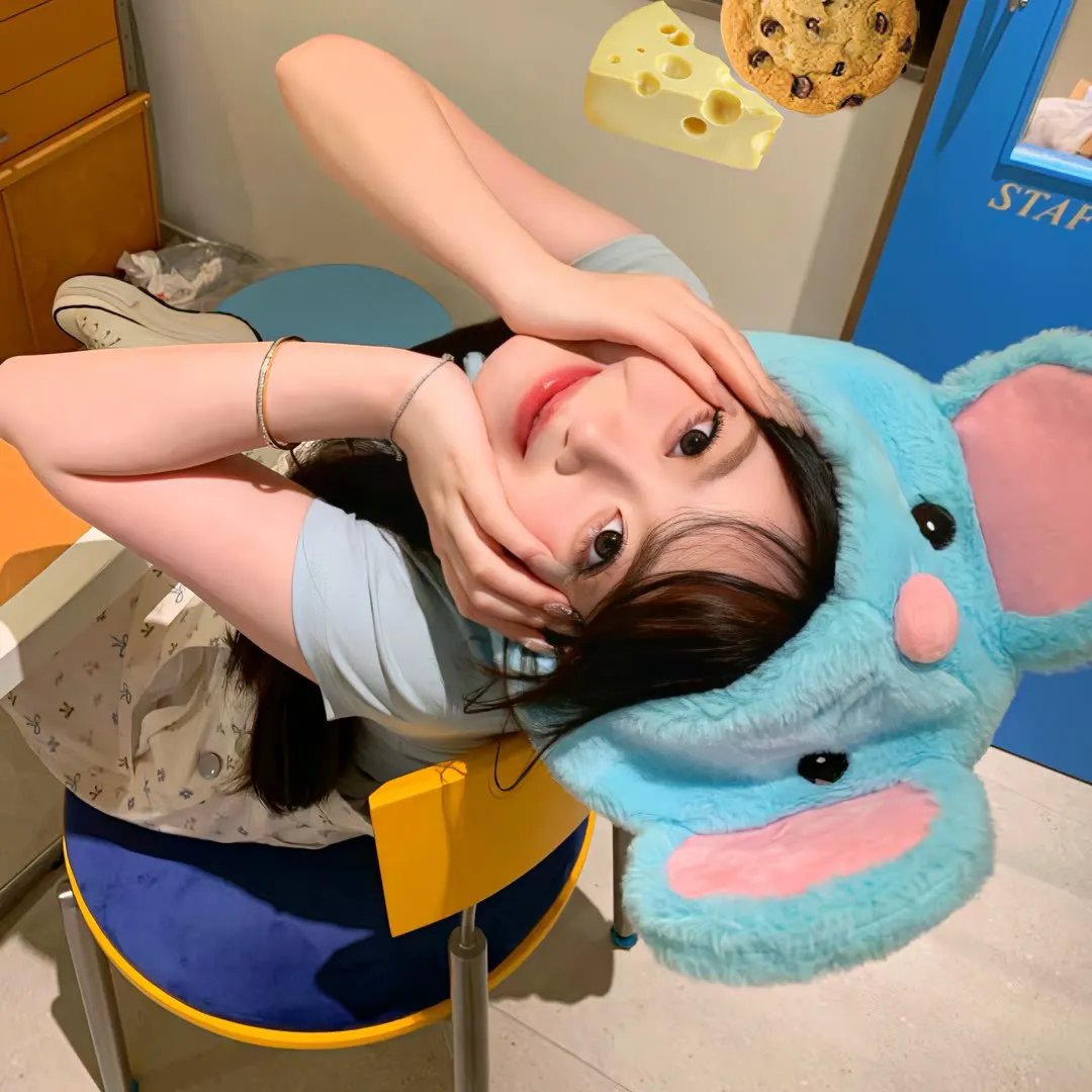 老鼠爱上猫